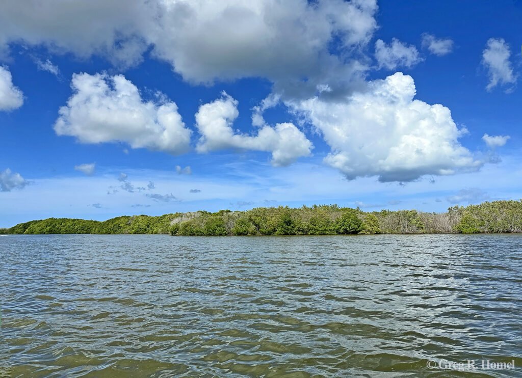 Ría Lagartos National Park