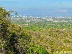 Puerto Vallarta, Jalisco, Mexico