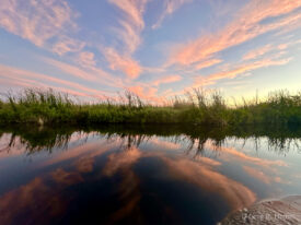 Rio la Tovera, San Blas, Nayarit, Mexico