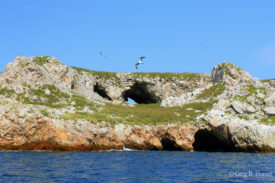 Islas Marietas, Bahía de Banderas, Nayarit, Mexico