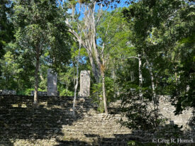 Mayan stelas, Calakmul; Campeche, Mexico