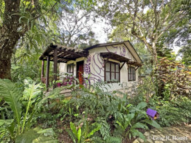 Jungle Lodge, Tikal, Petén, Guatemala