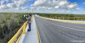 Bridge over the Tren Maya; Campeche. Mexico
